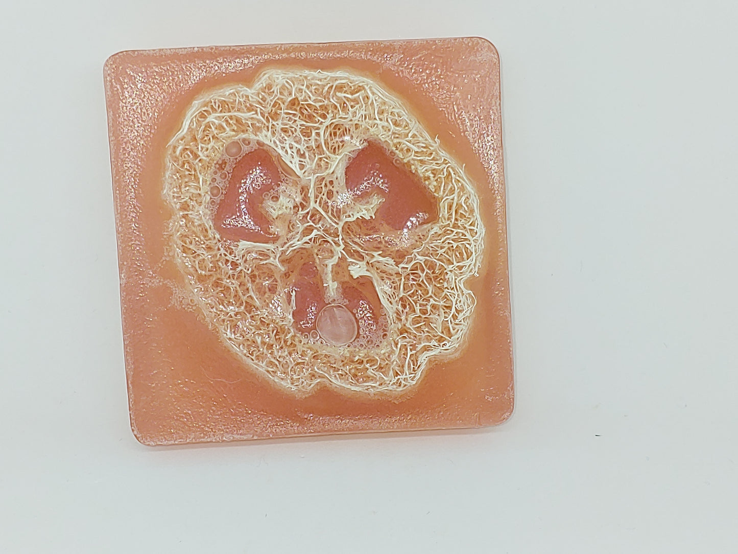 Loofa Scrub Bars
