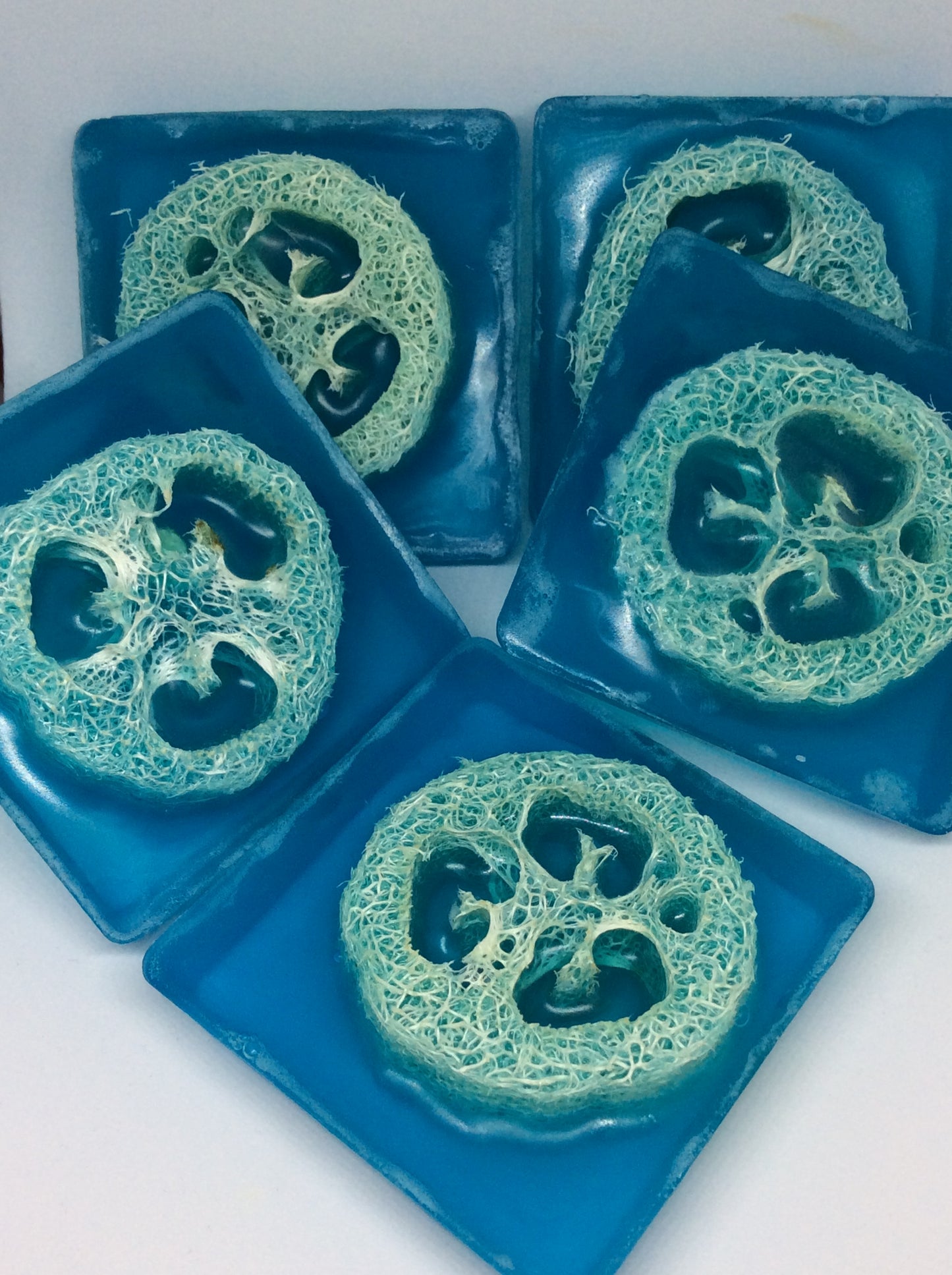Loofa Scrub Bars