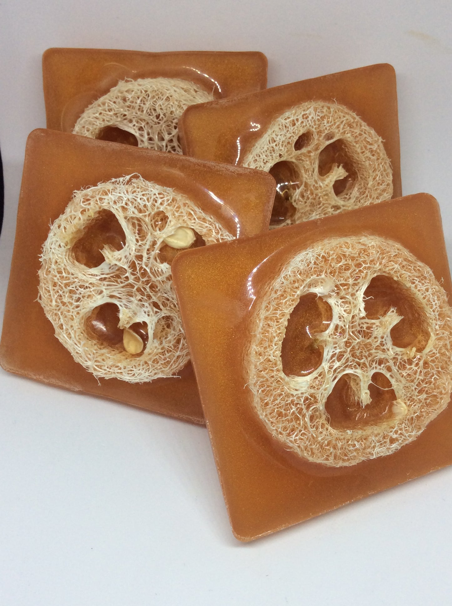 Loofa Scrub Bars