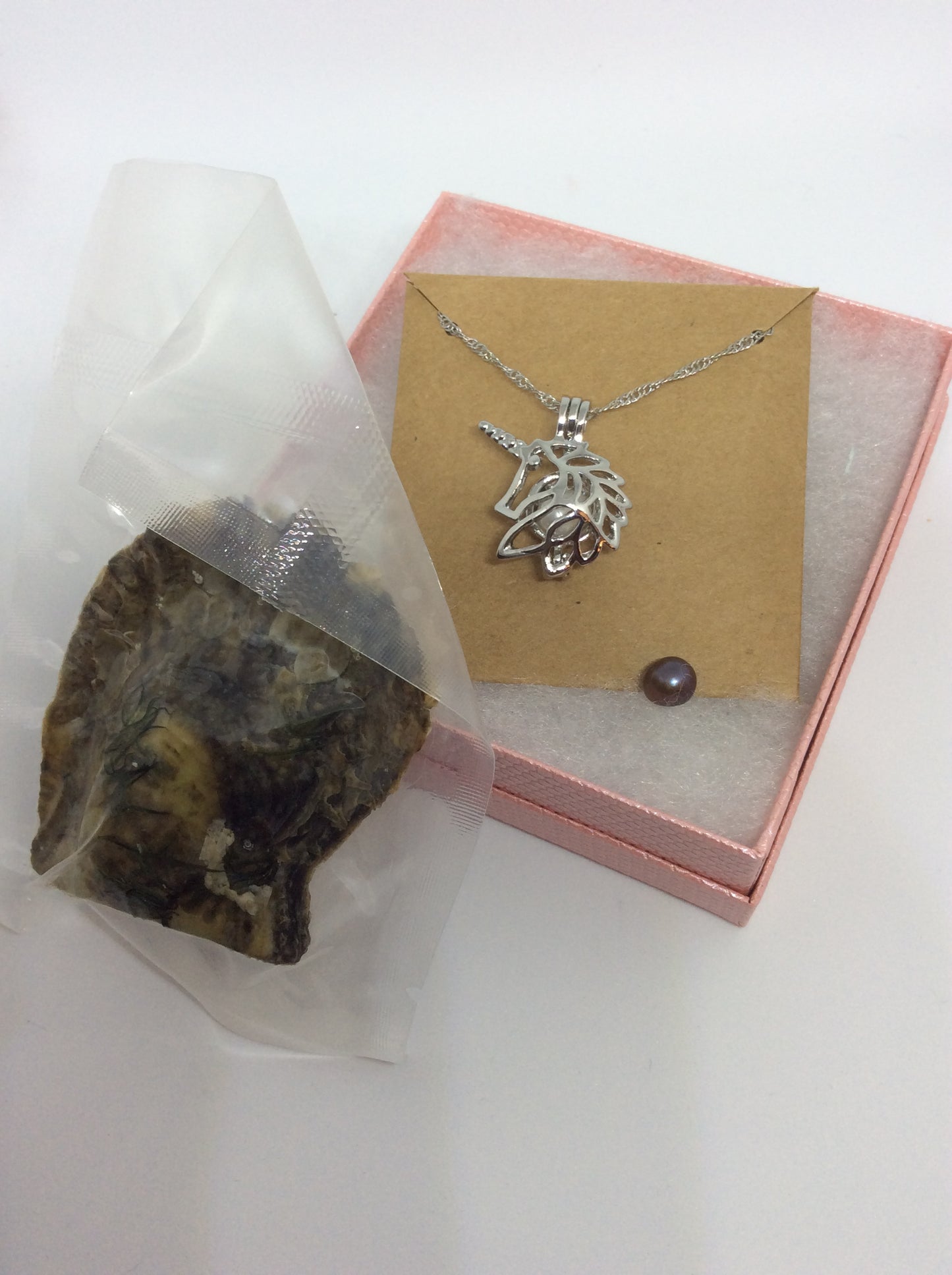 Package Deal: Oyster, Necklace Pendant w/ chain (Coming Soon!!)